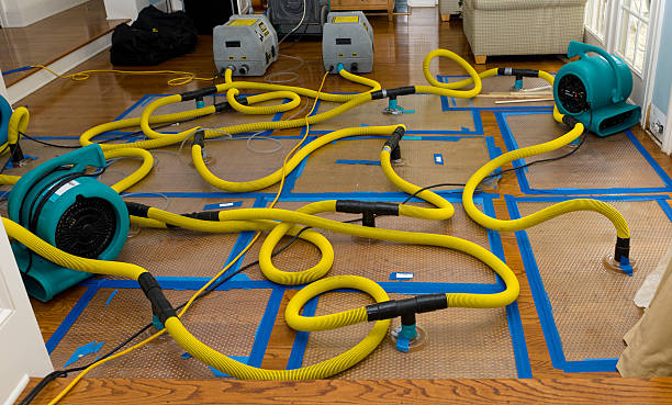 Professional Basement Flood Cleanup technician working in Deer Park, OH